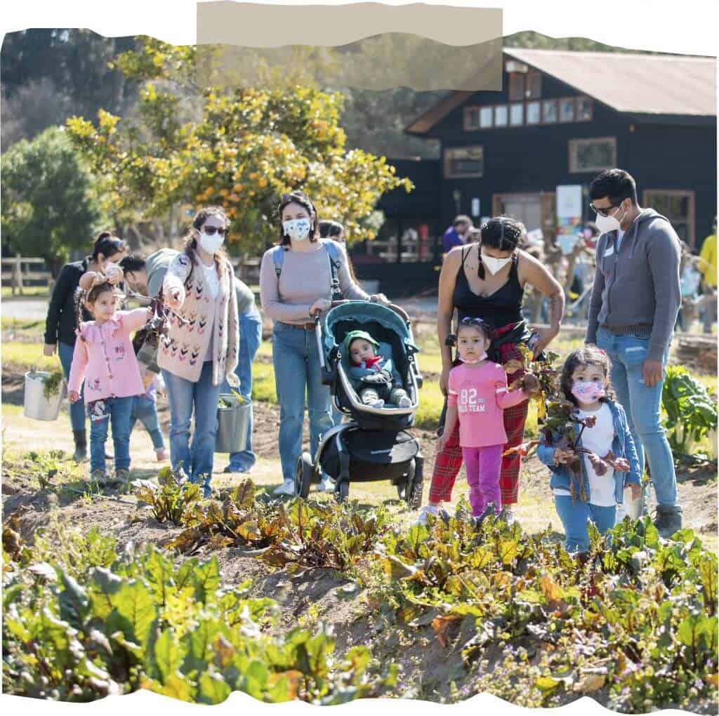 Disfruta un recorrido inolvidable en Campo Educativo